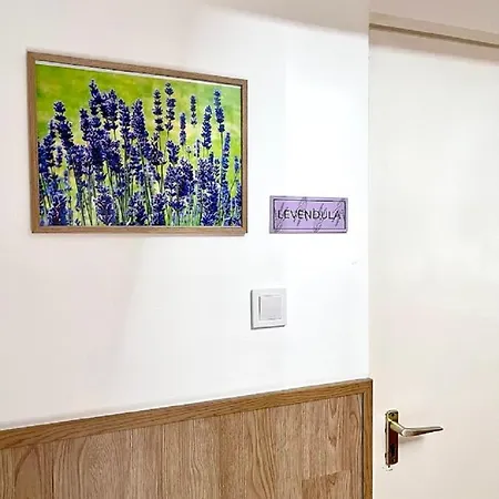 Berke Apartman Апартаменты