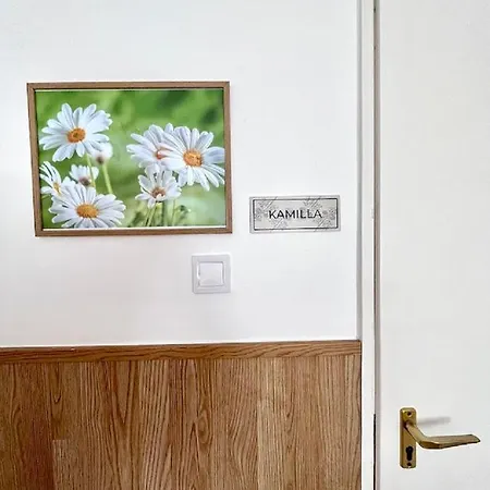 Berke Apartman * Залакарош